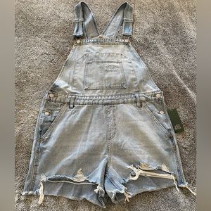 NWT Wild Fable Distressed Overall Shorts - Large